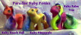 Paradise Baby Ponies